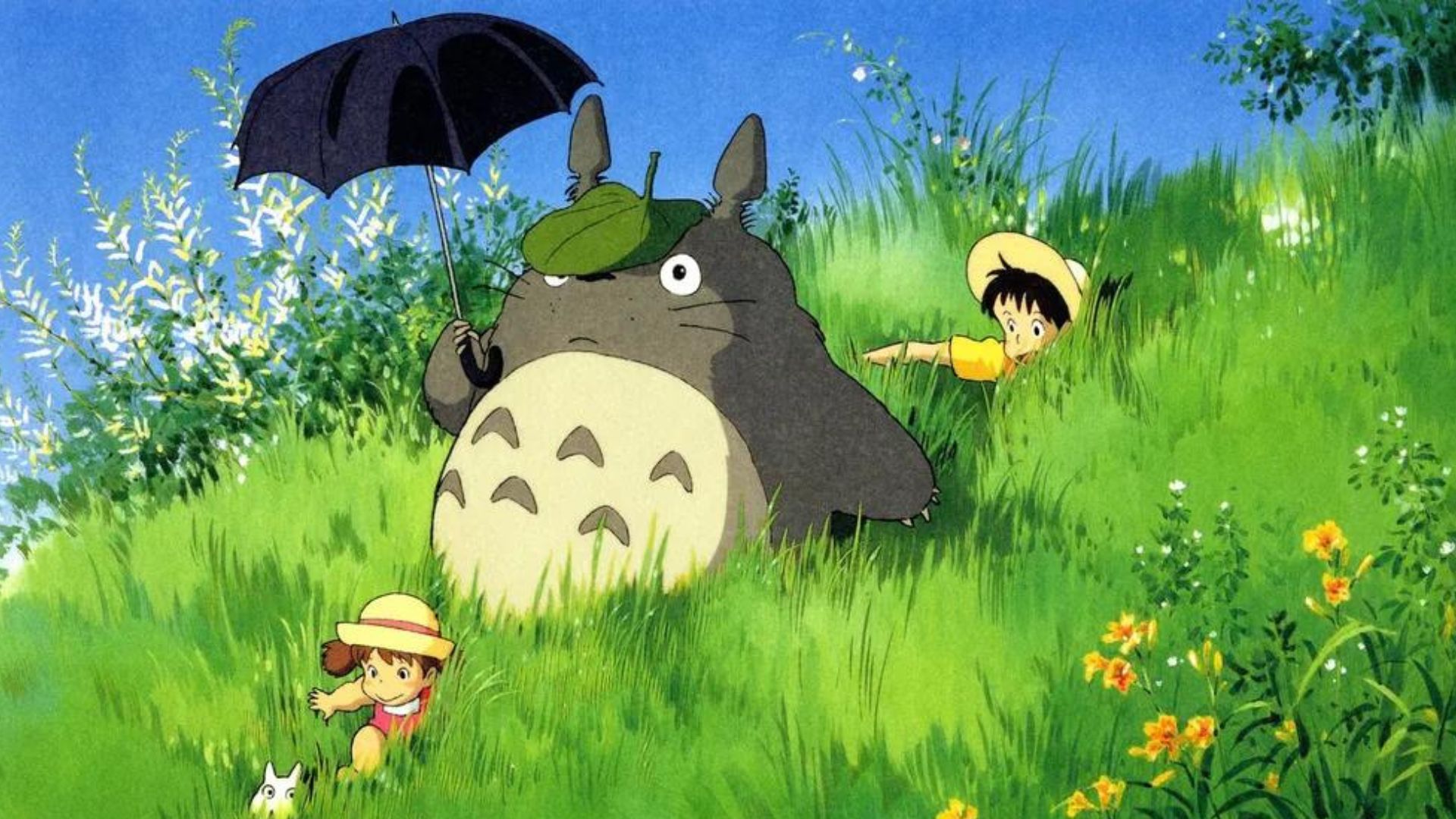 Meu Amigo Totoro