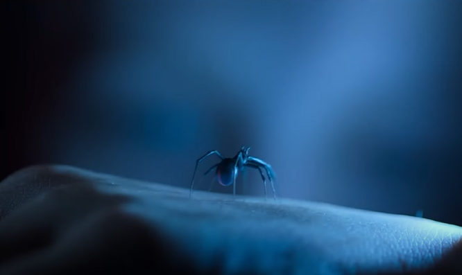 Sting: Aranha Assassina estreia no Prime Video e promete aterrorizar os fãs de suspense